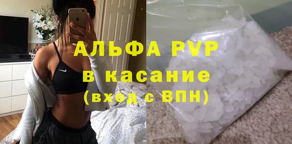 стаф Алексин