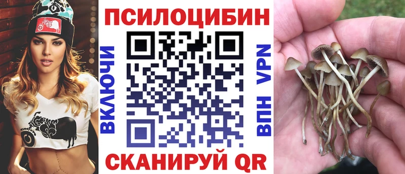 дарк нет как зайти  Белый  Псилоцибиновые грибы Cubensis 